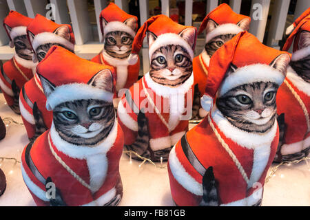 Eine Reihe von identischen Katzen verkleidet als Weihnachtsmann in einem Schaufenster. Stockfoto