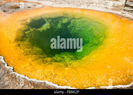 Nahaufnahme des hellen orange Rim und tiefgrünen Wasser von den kreisförmigen Morning Glory Pool in Upper Geyser Basin, Yellowstone Park. Stockfoto