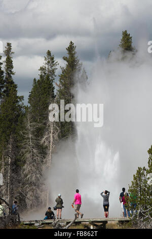 Grand Geysir ausbrechen in Upper Geyser Basin der Yellowstone-Nationalpark, Wyoming, mit Menschen beobachten das Spektakel. Stockfoto