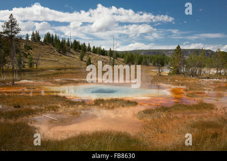 Bunt, dampfenden orangenen und blauen Wasser im Grasland der Thermalquellen, unter einem sonnigen blauen Himmel im Yellowstone National Park. Stockfoto