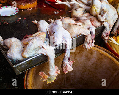 Bangkok, Bangkok, Thailand. 12. Januar 2016. Hühner im Abschnitt Lebendgeflügel Khlong Toey Markt (auch buchstabiert Khlong Toei) vor kurzem in Bangkok getötet. Am Montag den thailändischen Ministerium für öffentliche Gesundheit angewiesen Regierungsbehörden zusammen, um für irgendwelche Anzeichen von beobachten "Vogelgrippe '' während der Wintersaison und warnte vor der Öffentlichkeit Kontakt mit keine Vögel zu vermeiden, die kränklich erscheinen. Die neuesten Daten von der World Health Organization zeigte die kontinuierliche Übertragung von Vogelgrippe in verschiedenen Ländern, sowohl bei Menschen und Vögel. Die Vogelgrippe ist endemisch in China, Vietnam und Indonesien, alle wichtigen Thai tradi Stockfoto