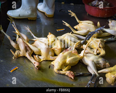 Bangkok, Bangkok, Thailand. 12. Januar 2016. Frisch getötet Hühner im Abschnitt Lebendgeflügel Khlong Toey Markt (auch buchstabiert Khlong Toei) in Bangkok verarbeitet werden. Am Montag den thailändischen Ministerium für öffentliche Gesundheit angewiesen Regierungsbehörden zusammen, um für irgendwelche Anzeichen von beobachten "Vogelgrippe '' während der Wintersaison und warnte vor der Öffentlichkeit Kontakt mit keine Vögel zu vermeiden, die kränklich erscheinen. Die neuesten Daten von der World Health Organization zeigte die kontinuierliche Übertragung von Vogelgrippe in verschiedenen Ländern, sowohl bei Menschen und Vögel. Die Vogelgrippe ist endemisch in China, Vietnam und Indonesien, alle Stockfoto