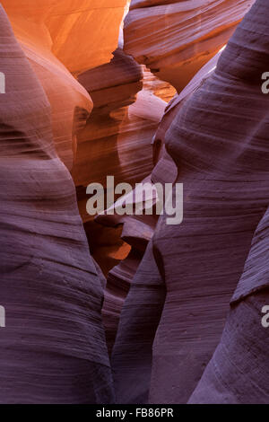 Bunte Sandsteinformationen, Lower Antelope Canyon, Slot Canyon, Page, Arizona, USA Stockfoto