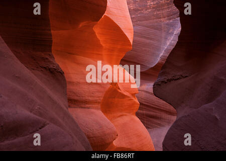 Bunte Sandsteinformationen, Lower Antelope Canyon, Slot Canyon, Page, Arizona, USA Stockfoto