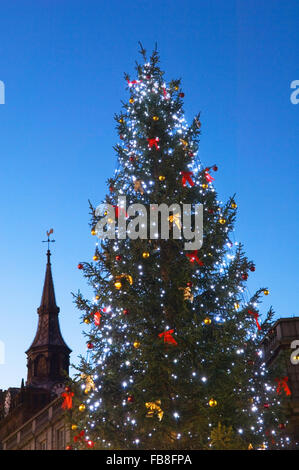 Weihnachtsbaum am Castlegate im Zentrum von Aberdeen, Schottland, Vereinigtes Königreich. Stockfoto