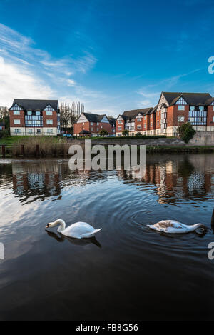 Neu entwickelte mock Tudor Gehäuse entlang des Flusses Weaver in Northwich. Stockfoto