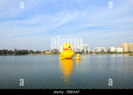 Die gelben Enten ist die meisten Schlager-Ansicht für Fotos. Der Park der großen Provinzen ist berühmt, Udonthani, Thailand. Stockfoto