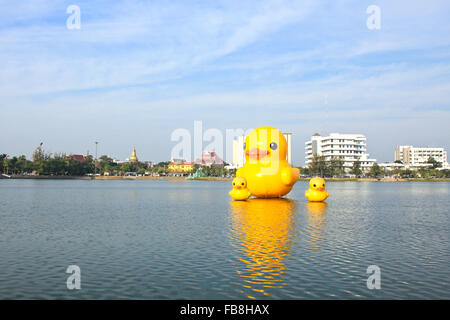 Die gelben Enten ist die meisten Schlager-Ansicht für Fotos. Der Park der großen Provinzen ist berühmt, Udonthani, Thailand. Stockfoto