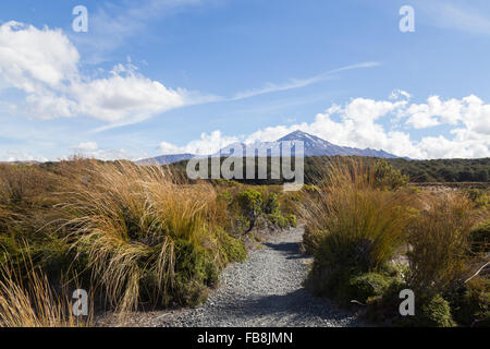 Blick auf Mount Ruapehu im in Neuseeland von der Tongariro Northern Circuit gesehen. Stockfoto