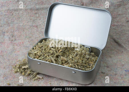 Gehacktes Wurmholz (Artemisia absinthium) in Zinnbox Stockfoto
