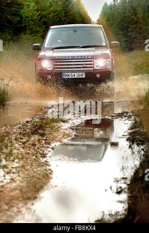 4 x 4-fahren durch Kielder forest / Range Rover Stockfoto