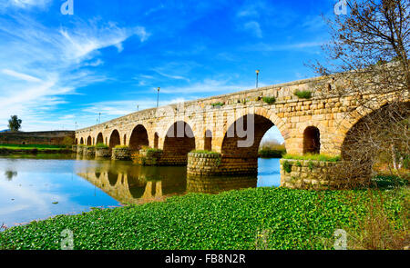 ein Blick auf die Puente Romano, einer alten römischen Brücke über den Fluss Guadiana in Merida, Spanien Stockfoto