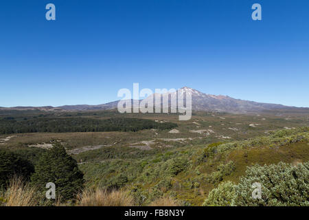 Blick auf Mount Ruapehu im in Neuseeland von der Tongariro Northern Circuit gesehen. Stockfoto