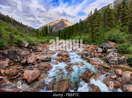 Rasche Gebirgsfluss fließt. Wunderbare Landschaft in den Bergen von Ost-Sibirien Stockfoto