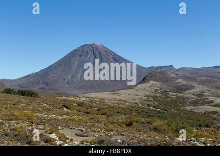 Blick auf Mount Ngauruhoe in Neuseeland von der Tongariro Northern Circuit gesehen. Stockfoto