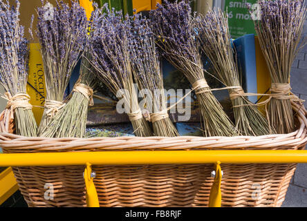 Lavendel Trauben im Weidenkorb Stockfoto