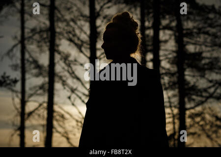 Die Silhouette einer Frau in der Wüste ein Wald Stockfoto