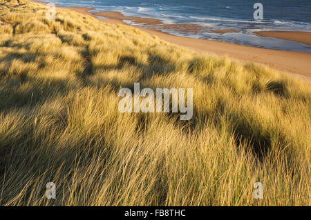 Balmedie Strand - in der Nähe von Aberdeen, Schottland. Stockfoto