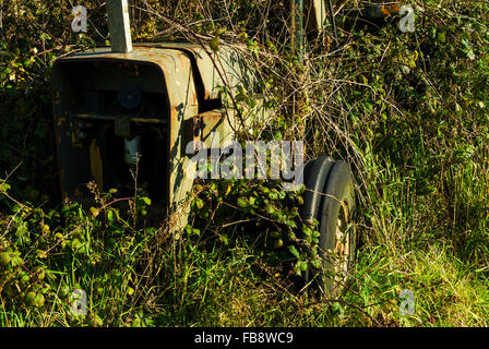 Alten Landwirtschaft Traktor, verworfen und überwuchert. Stockfoto