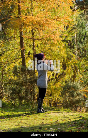 Dieses Mädchen / junge Frau ist das Fotografieren in einem sonnendurchfluteten Wald. Stockfoto