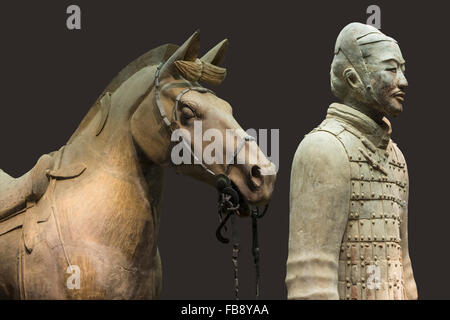 Museum der Terrakotta-Krieger, Kavallerist mit seinem Schlachtross gesattelt, Mausoleum des ersten Qin-Kaisers Xian, China Stockfoto