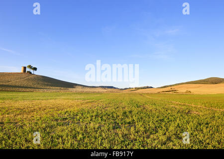 Toskana Maremma typische Landschaft mit sanften Hügeln, Bäumen und ländlichen Turm. Stockfoto