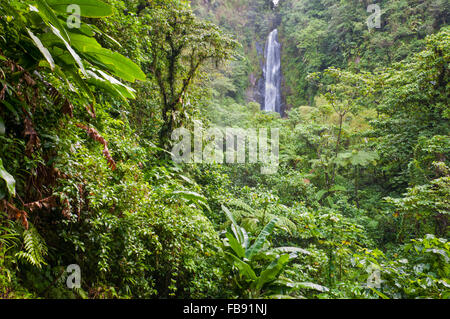 Trafalgar Wasserfälle, Dominica Stockfoto