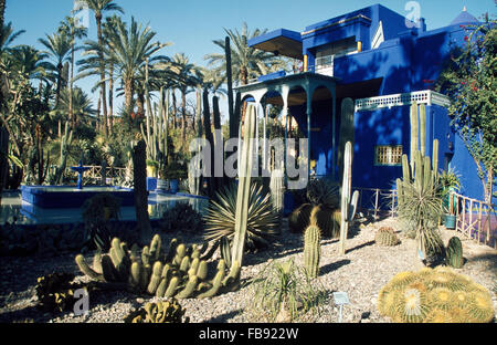 Kakteen wachsen in The Majorelle Garten in Marrakesch, Marokko, geschaffen von dem französischen Maler Jacques Majorelle Stockfoto