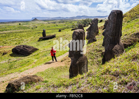 Chile, Osterinsel, Rapa Nui, Moai Köpfe an den Hängen der Krater des Rano Raraku Stockfoto