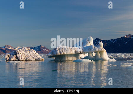 Schmelzenden Eisschollen gekalbt vom Lilliehöökbreen Gletscher treiben in Lilliehöökfjorden, Fjord in Krossfjorden, Spitzbergen, Svalbard Stockfoto