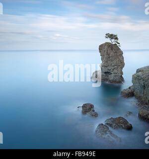 Regionaler Naturpark Portofino. Einsame Kiefer Baum Rock und Küsten Klippe Strand. Langzeitbelichtung Fotografie. Ligurien, Italien Stockfoto