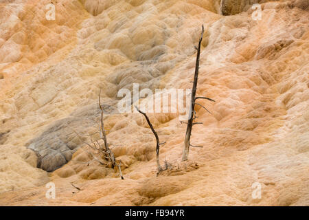 Erdwärme Strom von heißen, Carbonat reichen Wasser, bildet eine unwirtlichen Landschaft der Kaskadierung, dunkel orange-weißen Kalkstein. Stockfoto