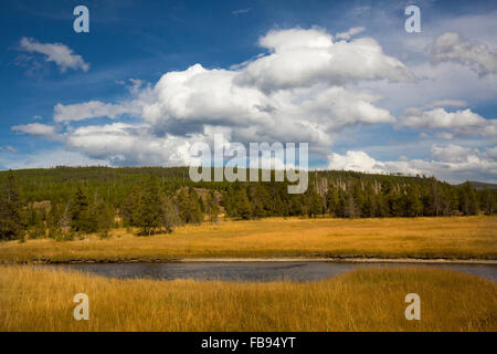 Firehole River durchfließt Spätsommer Grasland des Upper Geyser Basin in Yellowstone in Wyoming unter einem tiefblauen Himmel. Stockfoto