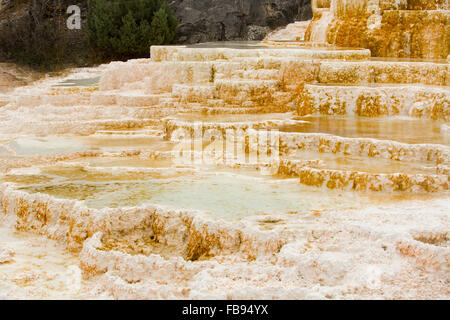 Erdwärme Strom von heißen, Carbonat reichen Wasser, Formulare, cascading, dunkel orange-weißen Kalkstein-Terrassen mit Pools, Yellowstone. Stockfoto