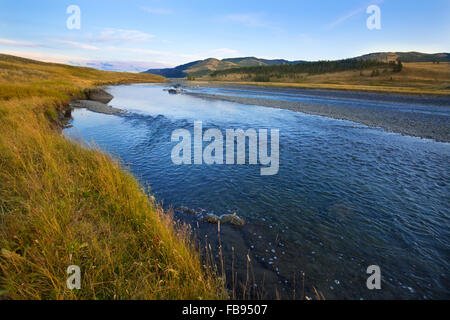 Lamar River fließt durch Wiesen das Lamar Valley im Spätsommer, Yellowstone-Nationalpark, Wyoming. Stockfoto