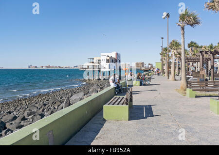 Malecon entlang am Wasser mit Blick auf Meer von Cortez, wo Menschen vor Ort zu knüpfen & vermischen sich mit Touristen unter gepflanzten Palmen Stockfoto