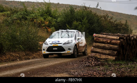 Eytan Halfon mit Ford Fiesta R2 in Kocaeli Rallye 2015 Stockfoto