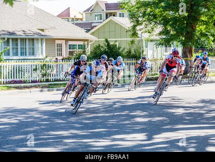 Profi-Radrennen durch Wohnstraßen von Denver, Colorado Stockfoto