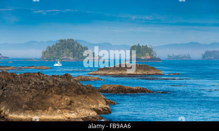 Der Wild Pacific Trail befindet sich im Bezirk von Ucluelet Stockfoto