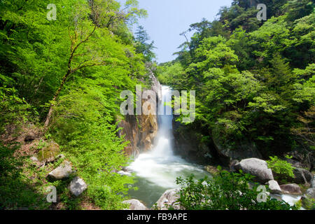 Wasserfall im Shosenkyo, Yamanashi Präfektur, Japan Stockfoto