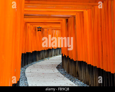 Ein Teil der berühmten Tunnel der Zinnober Torii-Tore im Fushimi Inari-Taisha, Kyoto, Japan. Stockfoto