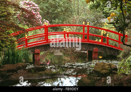 Roten japanischen Stil Brücke über Bach im Wald in einem großen Land-Garten im Frühling Stockfoto