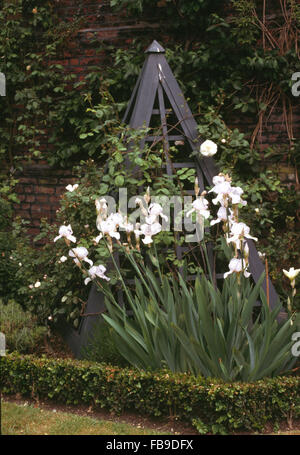 Weiße Iris und ein grau lackierten Obelisk in einer Sommer-Grenze mit niedrigen Kasten-Einfassung Stockfoto