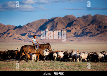 Ein junges Mädchen auf einem kasachischen Pferd rundet die Familie Herde in der Nähe von Achit-See in der abgelegenen äußersten westlichen Mongolei. Stockfoto