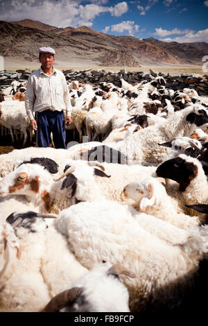 Ein Hirte seine Schafe für strömenden in abgelegenen äußersten westlichen Mongolei corralling.