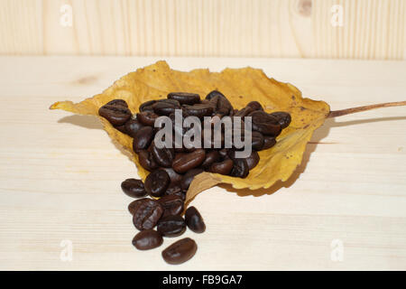 Kaffeebohnen auf einem Hintergrund von gelbes Blatt. Stockfoto