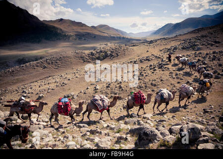 Ein Kamel Zug klettert Kharkhiraa Tal, der Mongolei, wo 3000 Jahre alten türkische Steinhaufen markieren Sie die Gräber der alten Helden. Stockfoto