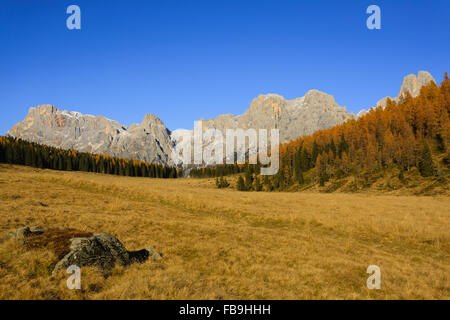 Herbstliche Landschaft aus italienischen Alpen. Gelbe Bäume. Wunderschöne Dolomiten anzeigen Stockfoto