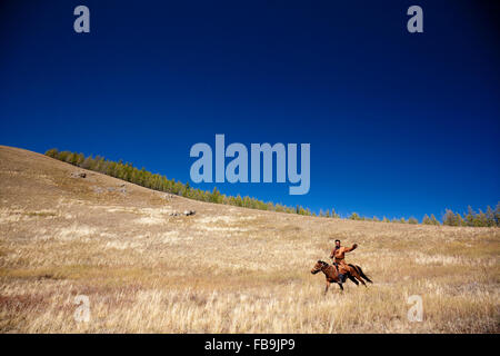 Ein Hirte, Reiten im Galopp durch die Gorkhi Tärelsch Nationalpark, Mongolei. Stockfoto