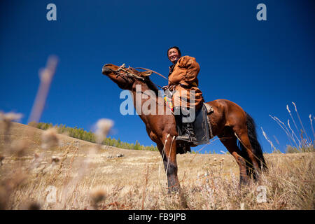 Ein Hirte Pferd nickt in der Spätsommer Hitze in Gorkhi Tärelsch Nationalpark, Mongolei. Stockfoto